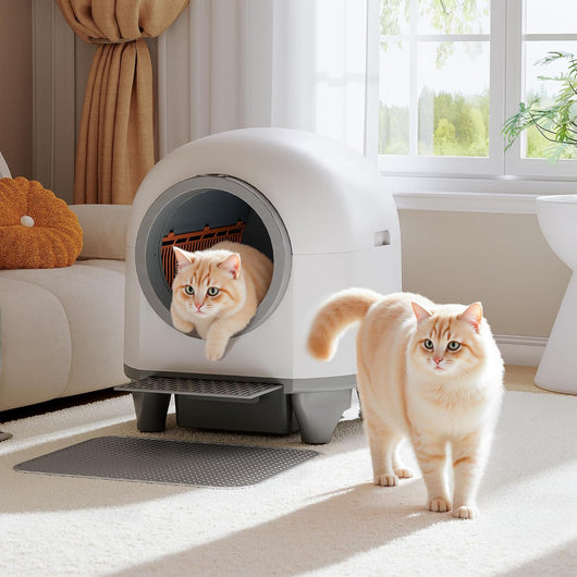 PurifyPaws™ Smart Self-Cleaning Litter Box – Odor-Free, Hands-Free, Fully Automatic